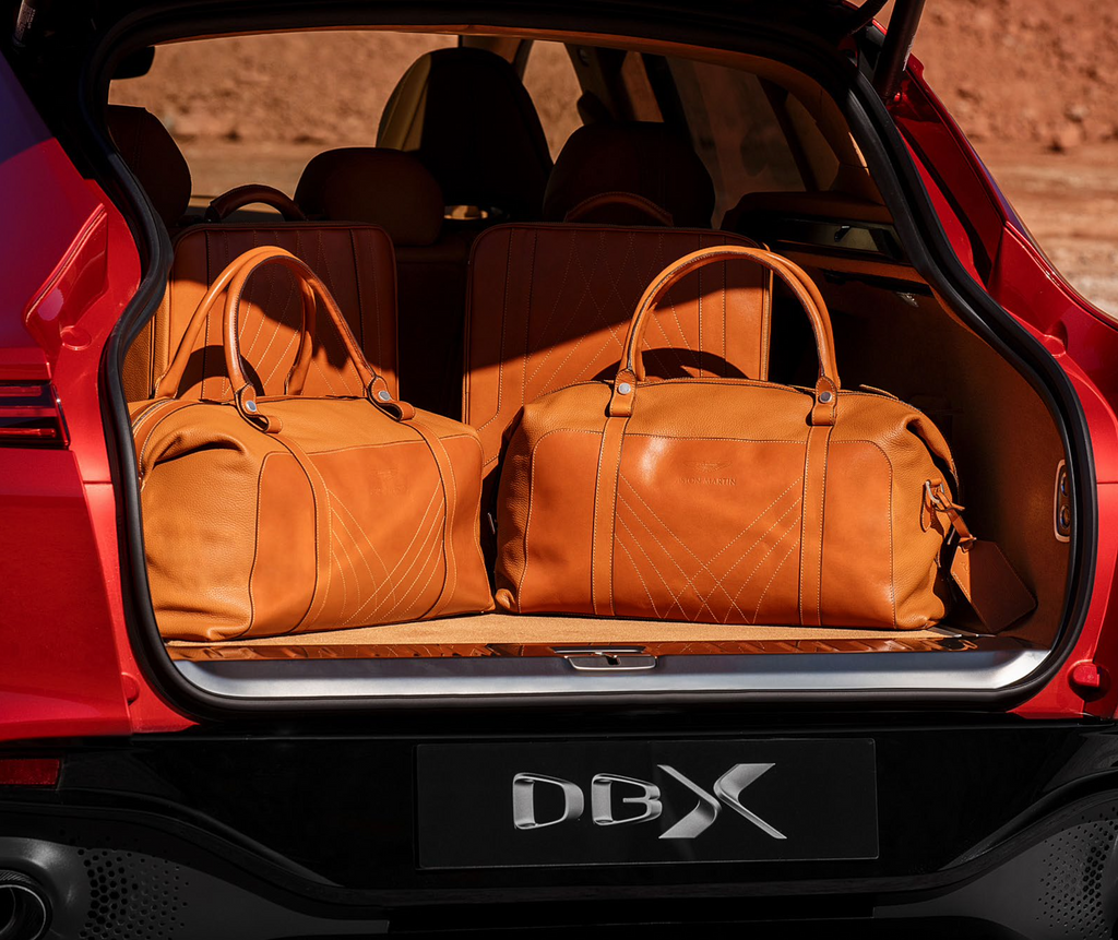 DBX Luggage